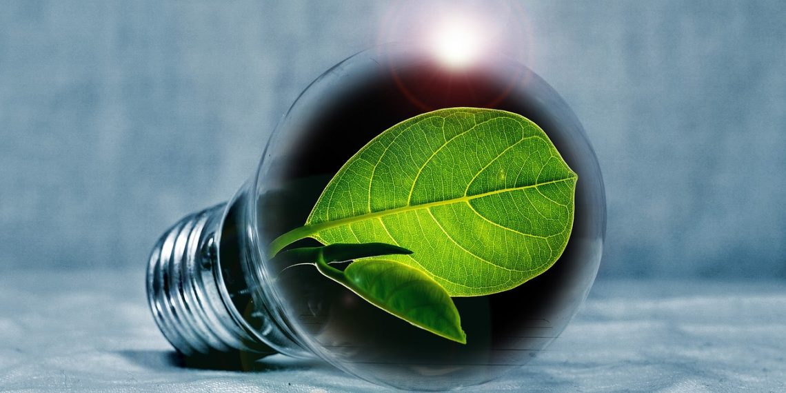 Image of a leaf superimposed on a lightbulb